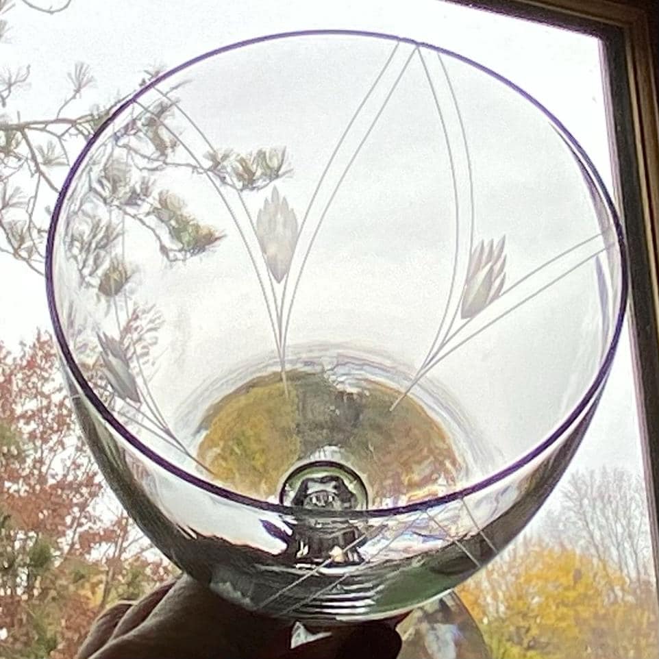 Vintage Fostoria Heraldry Etched Glasses (circa 1935 - 1969) - Set of 7