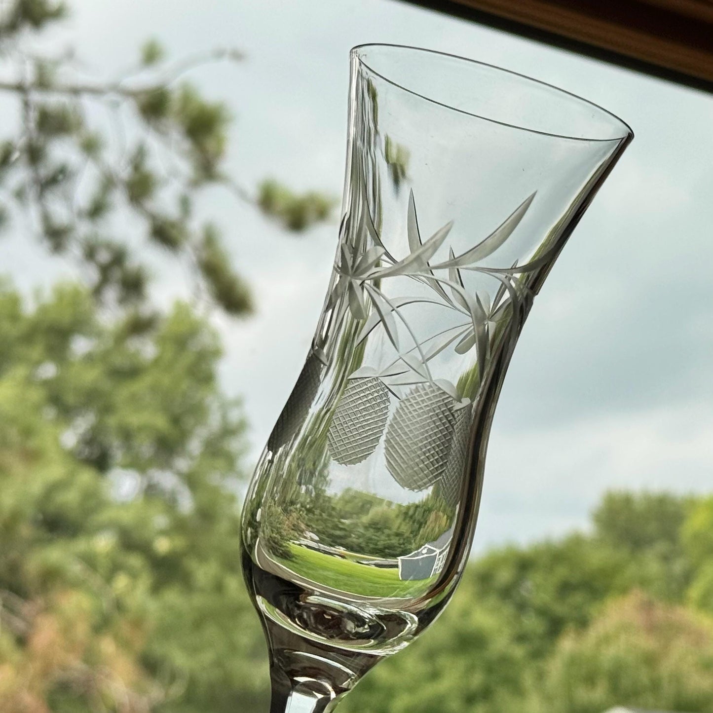 Vintage Pineapple Etched Glasses - Set of 7