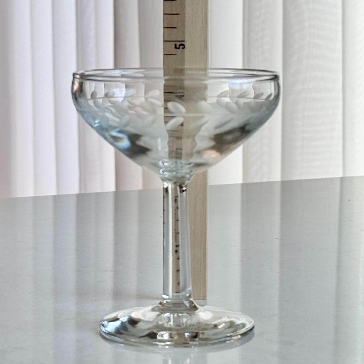 Vintage Laurel Leaf Etched Champagne Coupes / Cocktail Glasses - Set of 6