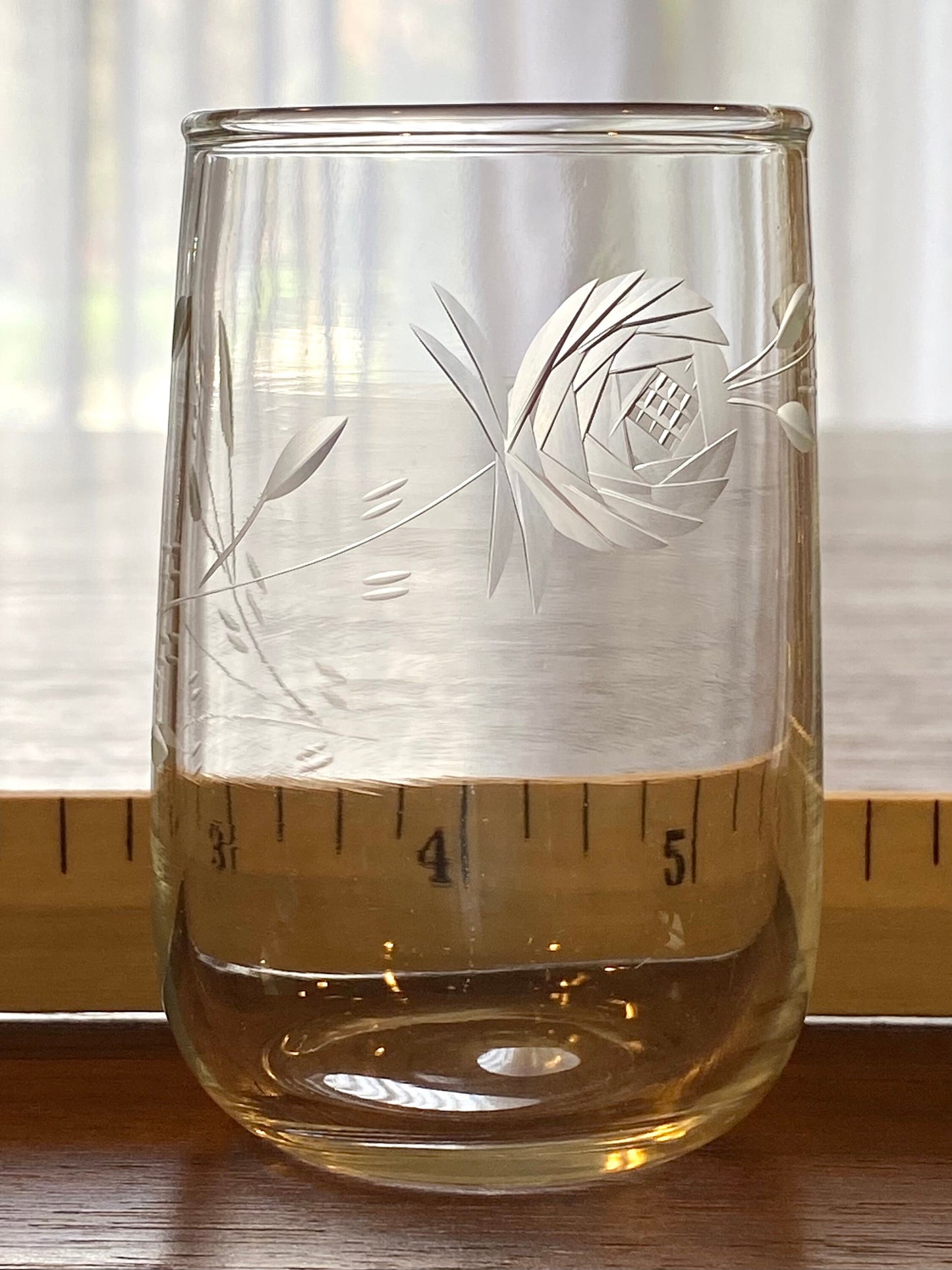 Vintage Deco Rose Etched Glasses - Set of 5