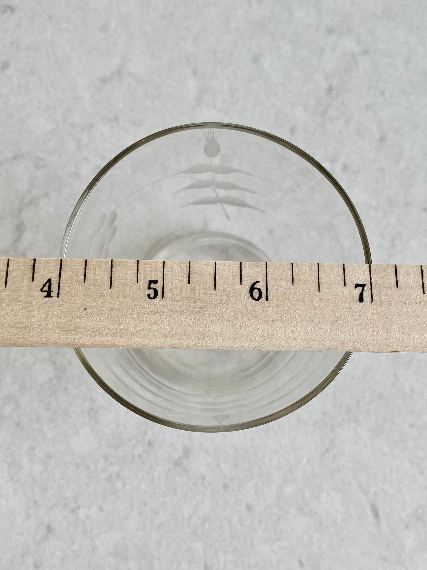 Vintage Etched Tumblers - Set of 5 (Set #55)