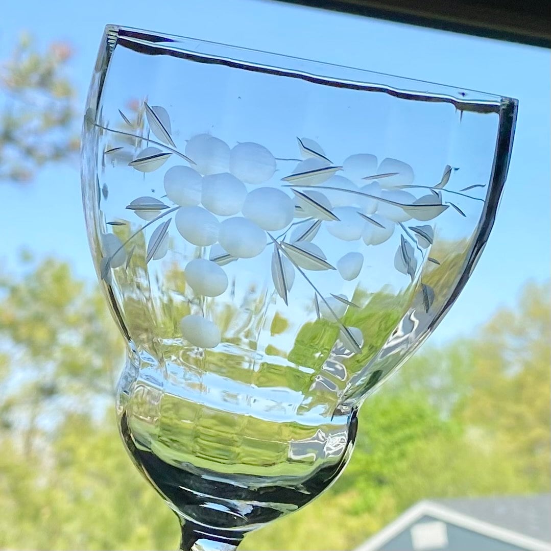 Vintage Weston Glass Etched Optic Panel Goblets - Set of 12