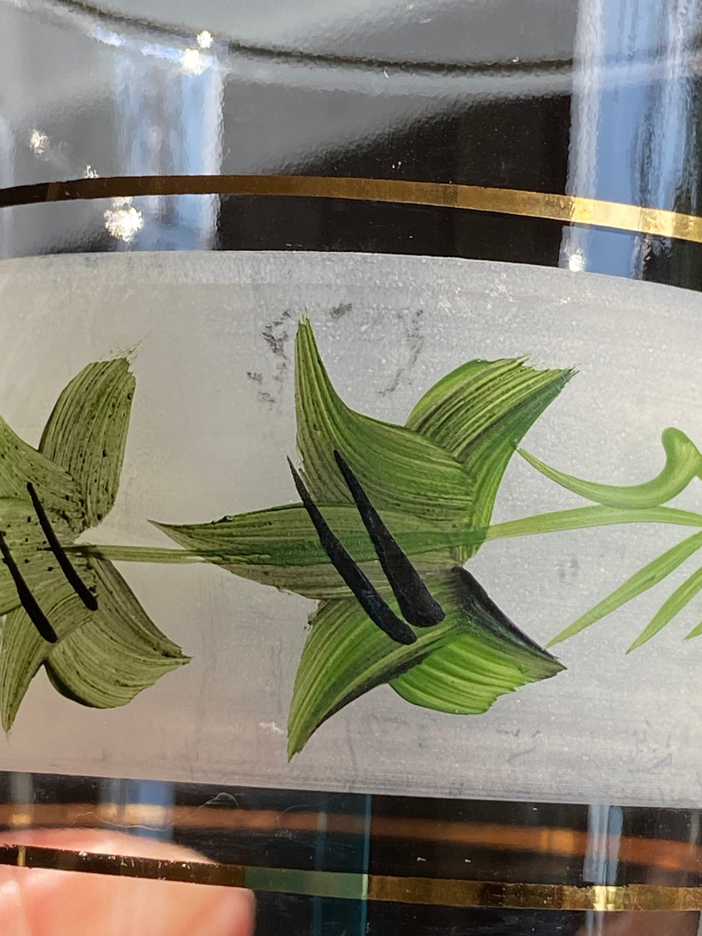 Vintage Hand Painted Ivy Vine Glasses - Set of 6