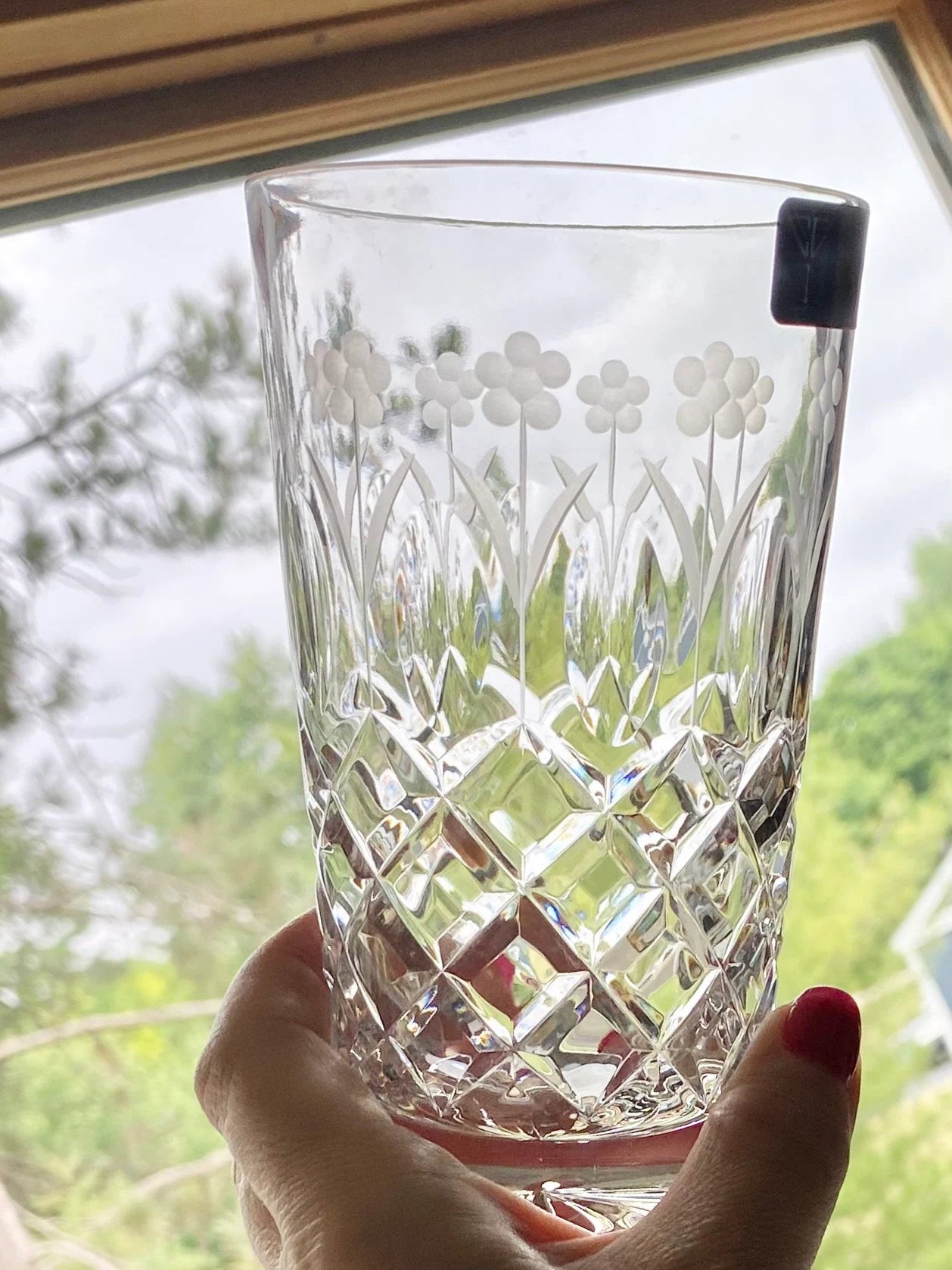 Vintage Hungarian Crystal Etched Tumblers - Set of 2