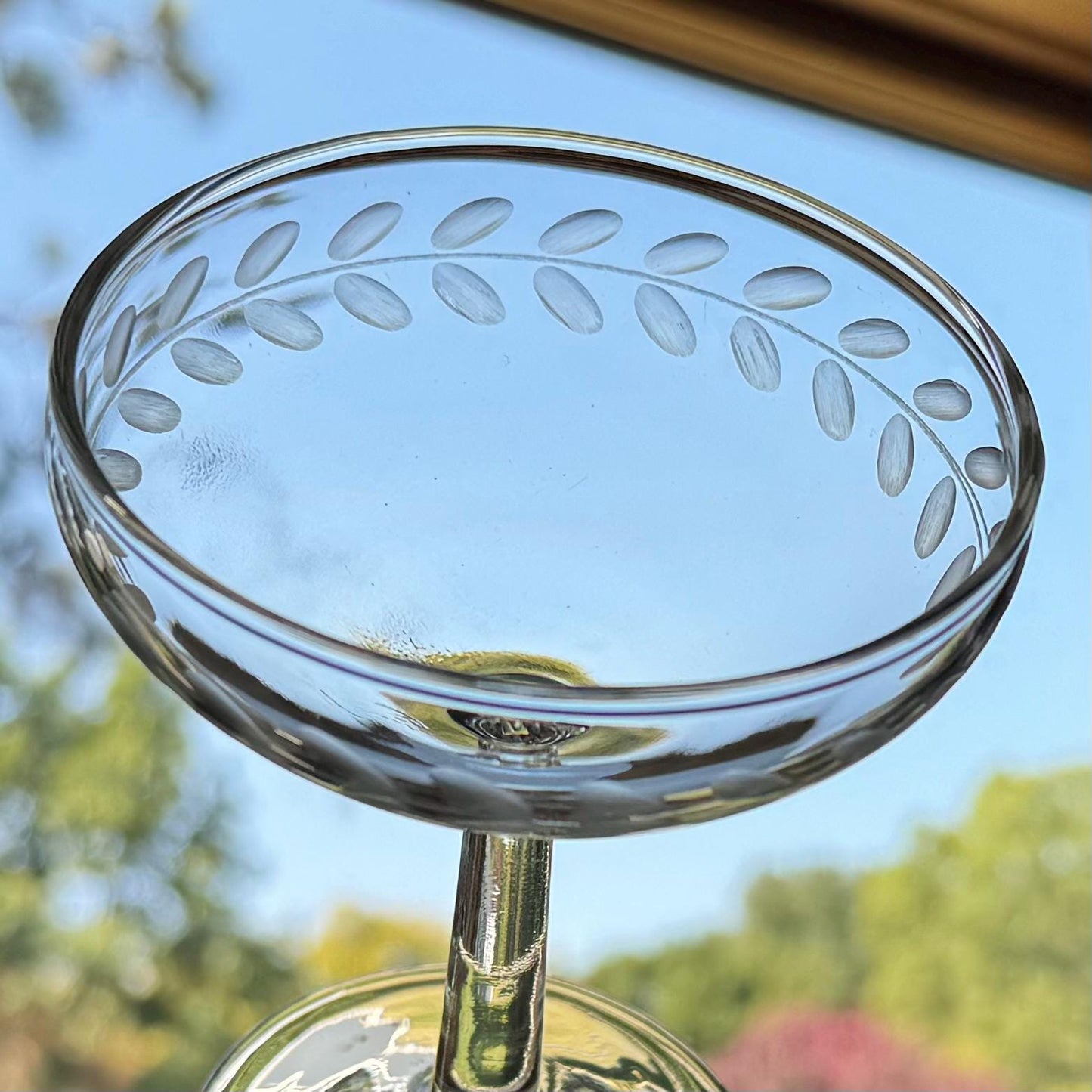 Vintage Laurel Leaf Etched Champagne Coupes / Cocktail Glasses - Set of 6