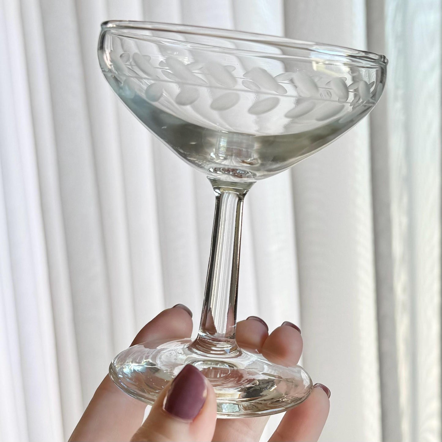 Vintage Laurel Leaf Etched Champagne Coupes / Cocktail Glasses - Set of 6