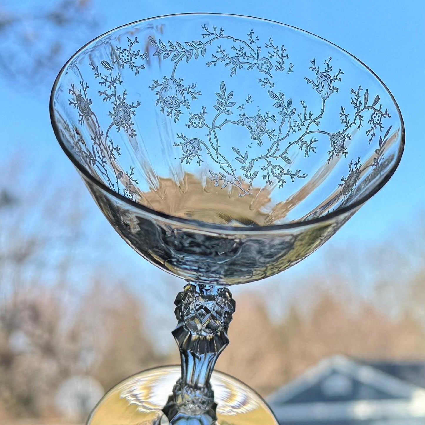 Vintage Fostoria Chintz Glasses (circa 1940 - 1973) - Set of 5