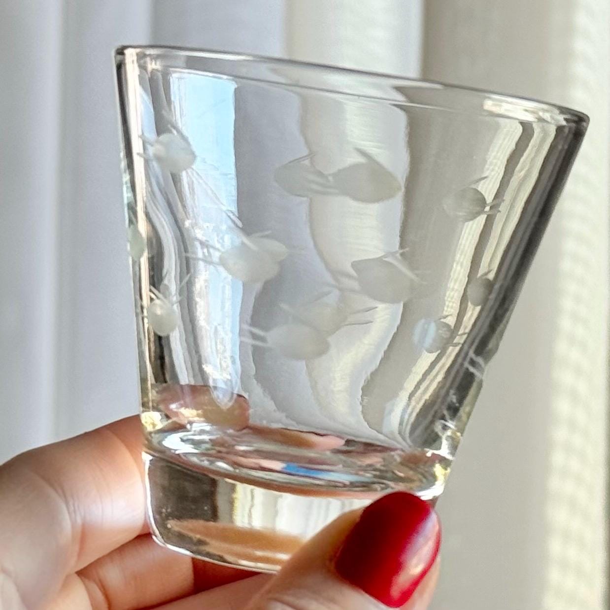 Vintage Fish Etched Glasses - Set of 6