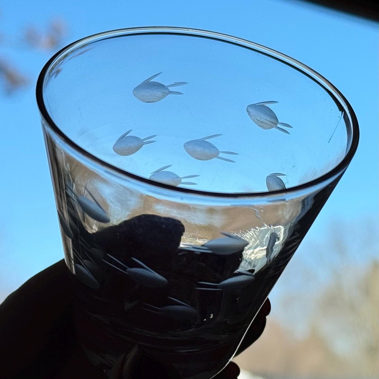 Vintage Fish Etched Glasses - Set of 6