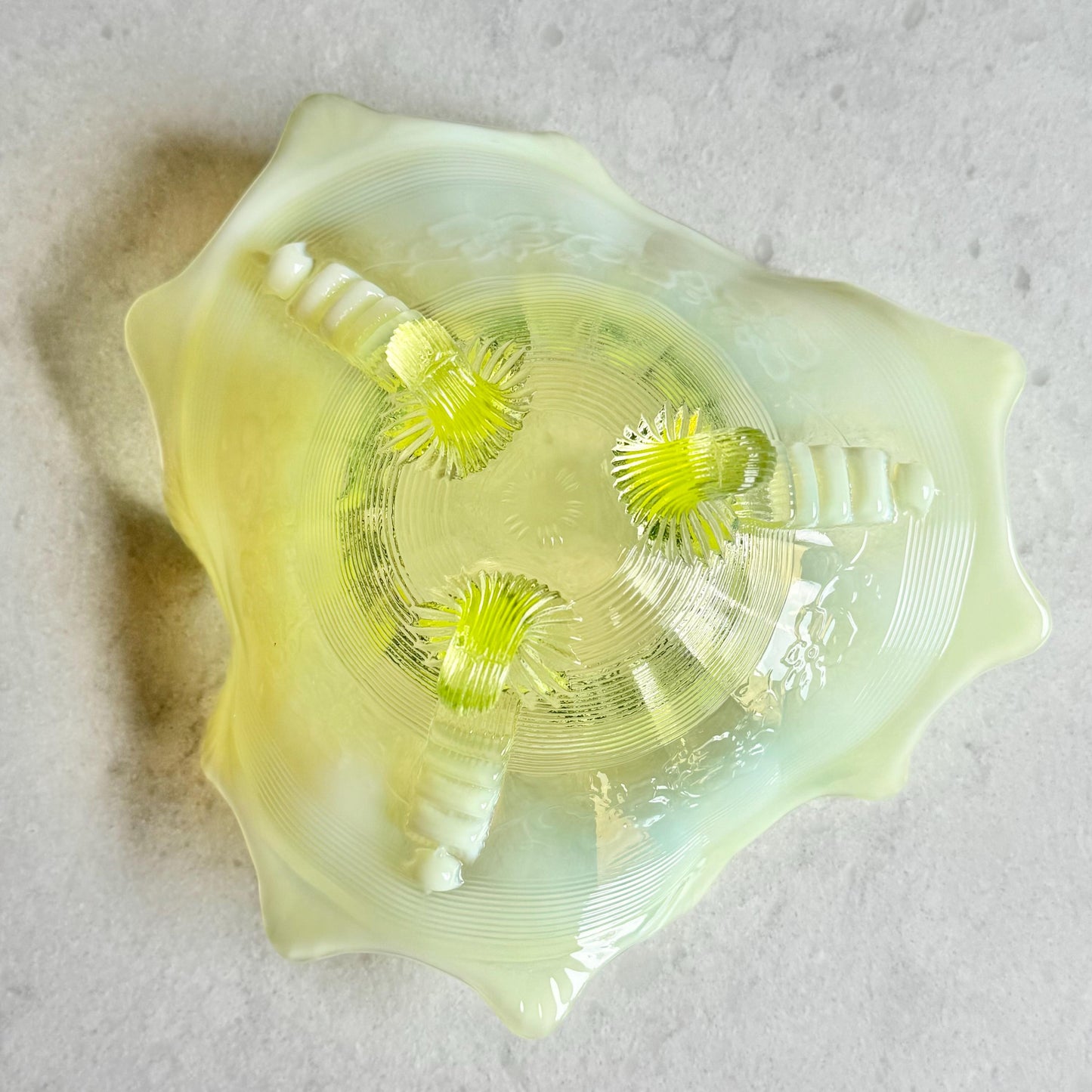 Vintage Northwood Vaseline Glass Klondyke Fluted Scroll Opalescent Bowl (circa late 1890s / early 1900s)