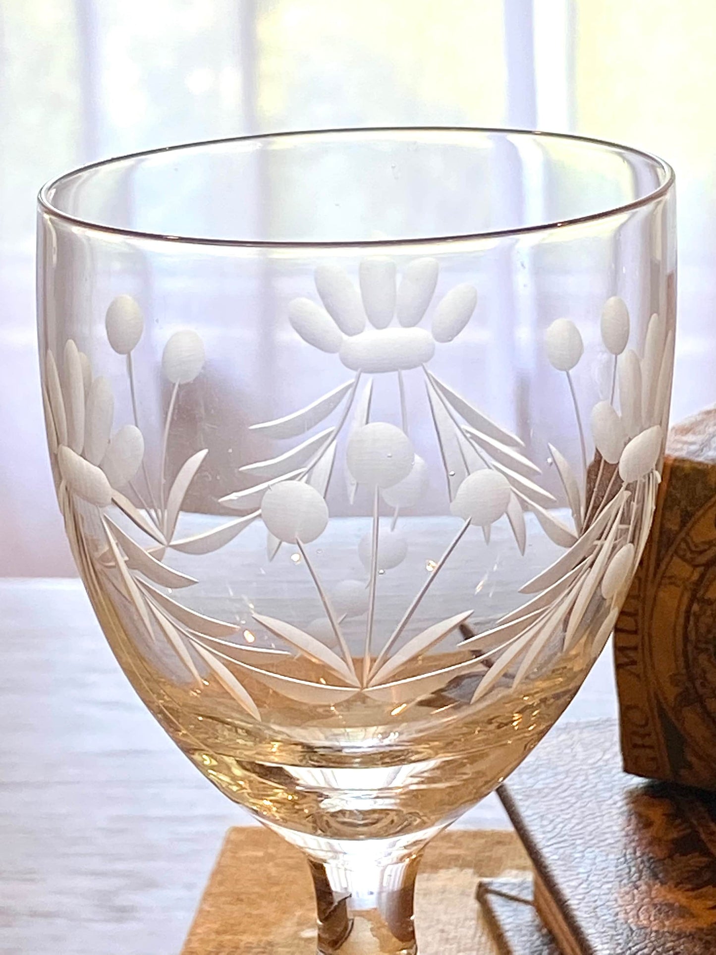 Vintage Etched Glasses - Set of 6 (Set #621A)