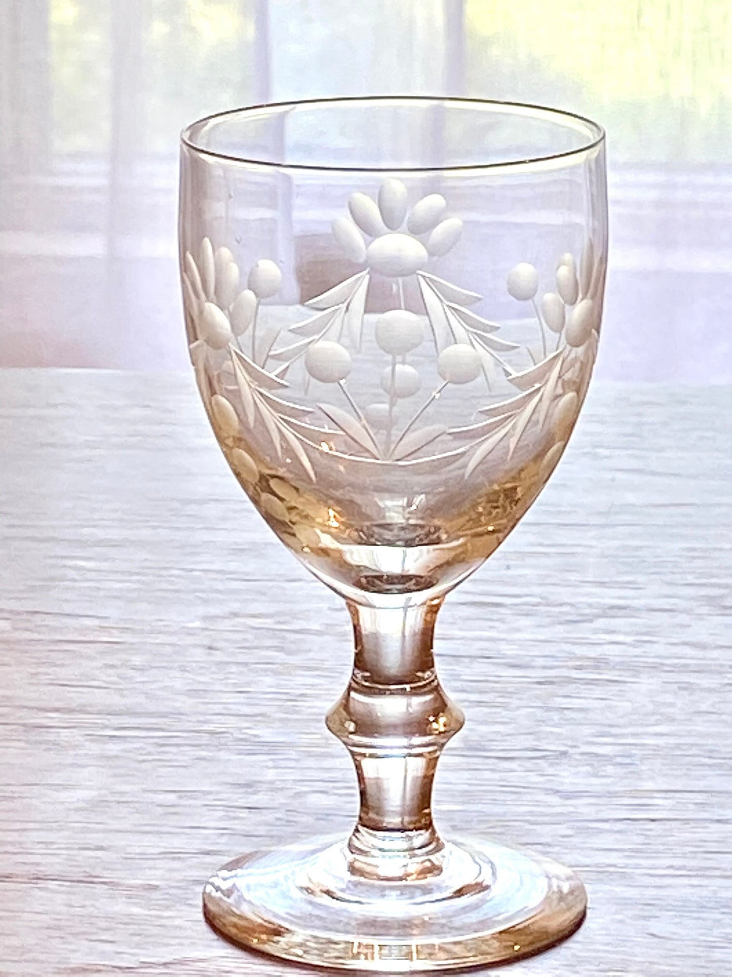 Vintage Etched Glasses - Set of 6 (Set #621A)