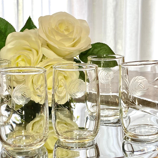 Vintage Deco Rose Etched Glasses - Set of 5